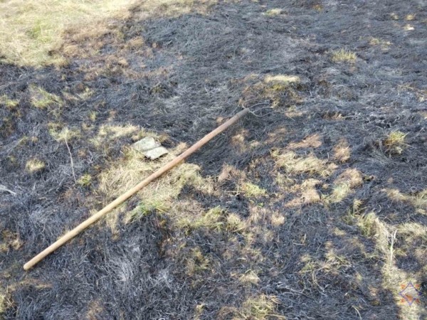 В Ивацевичском районе во время пала сухой растительности пострадал мужчина В Ивацевичском районе во время пала сухой растительности пострадал мужчина