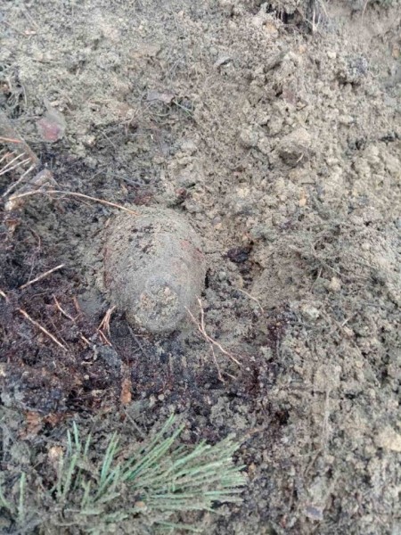 Под Пинском обнаружен артиллерийский снаряд времен Великой Отечественной войны Под Пинском обнаружен артиллерийский снаряд времен Великой Отечественной войны