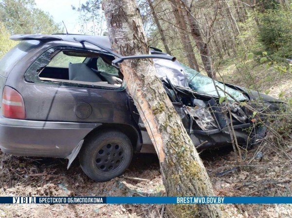 18-летний водитель врезался в дерево в Ивацевичском районе 18-летний водитель врезался в дерево в Ивацевичском районе
