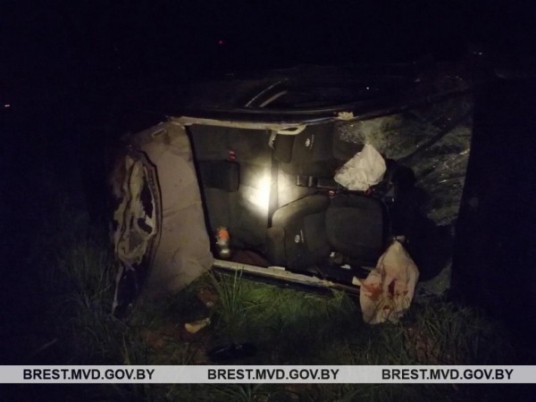 Молодой водитель сбил лося в Брестской области Молодой водитель сбил лося в Брестской области