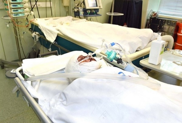 «Славу тушили прохожие». Родительские чаты снова спасают ребенка (не надо этого делать) «Славу тушили прохожие». Родительские чаты снова спасают ребенка (не надо этого делать)