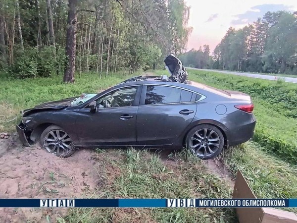 В Беларуси легковушка встретилась с лосем В Беларуси легковушка встретилась с лосем