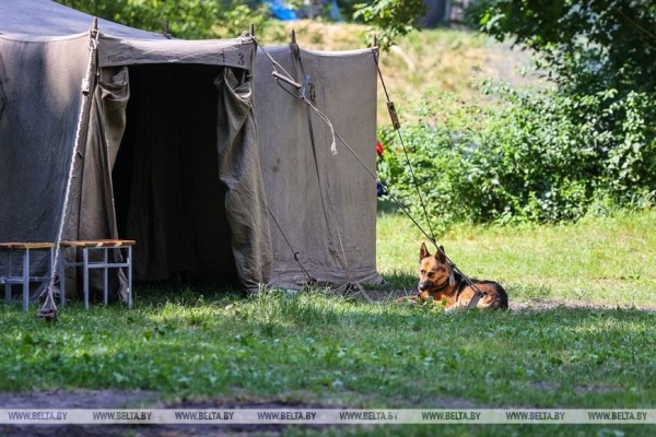 Белорусские и зарубежные реконструкторы покажут эпизоды обороны Брестской крепости