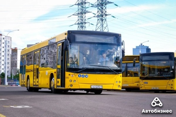 «Главное – не расслабиться и не уехать в закат». Воспитатель садика стала водителем автобуса