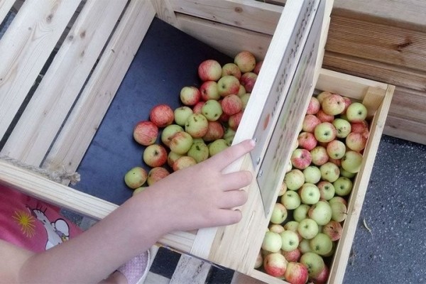 Контролеры качества крупных торговых сетей за взятки принимали испорченные овощи и фрукты Контролеры качества крупных торговых сетей за взятки принимали испорченные овощи и фрукты