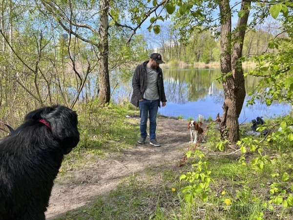 ГИГАНТСКИЕ СОБАКИ. Сколько денег уходит на содержание двух 60-килограммовых собак в панельной трёшке в Бресте? ГИГАНТСКИЕ СОБАКИ. Сколько денег уходит на содержание двух 60-килограммовых собак в панельной трёшке в Бресте?