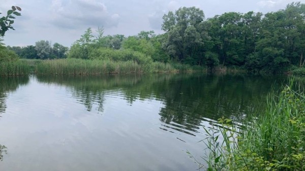 Ударился и потерял сознание. В Бресте на Кирпичных озерах спасли ребенка Ударился и потерял сознание. В Бресте на Кирпичных озерах спасли ребенка