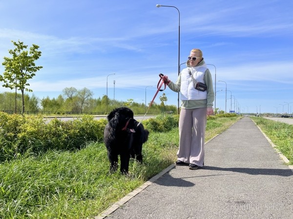 ГИГАНТСКИЕ СОБАКИ. Сколько денег уходит на содержание двух 60-килограммовых собак в панельной трёшке в Бресте? ГИГАНТСКИЕ СОБАКИ. Сколько денег уходит на содержание двух 60-килограммовых собак в панельной трёшке в Бресте?