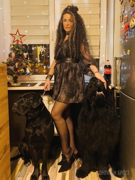 ГИГАНТСКИЕ СОБАКИ. Сколько денег уходит на содержание двух 60-килограммовых собак в панельной трёшке в Бресте? ГИГАНТСКИЕ СОБАКИ. Сколько денег уходит на содержание двух 60-килограммовых собак в панельной трёшке в Бресте?