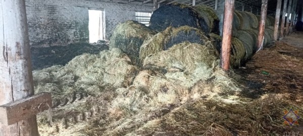 Более 90 тонн сена спасли работники МЧС и хозяйства на пожаре в Столинском районе