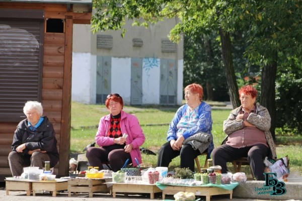В Бресте прошёл рейд по местам несанкционированной торговли урожаем, выращенным на приусадебных участках
