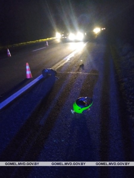 В Беларуси мотоциклист врезался в лося и погиб В Беларуси мотоциклист врезался в лося и погиб