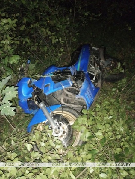 В Беларуси мотоциклист врезался в лося и погиб В Беларуси мотоциклист врезался в лося и погиб