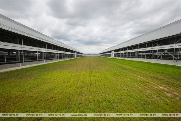 Высокотехнологичный молочно-товарный комплекс на 1 тыс. голов открыли в Пружанском районе