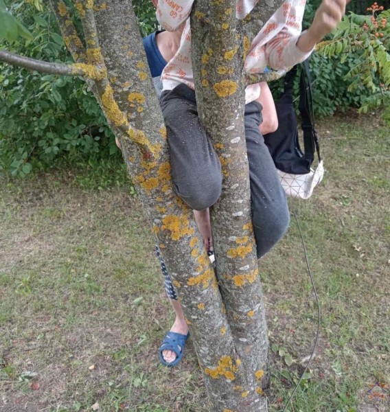 Нога мальчика застряла в дереве: помогли спасатели