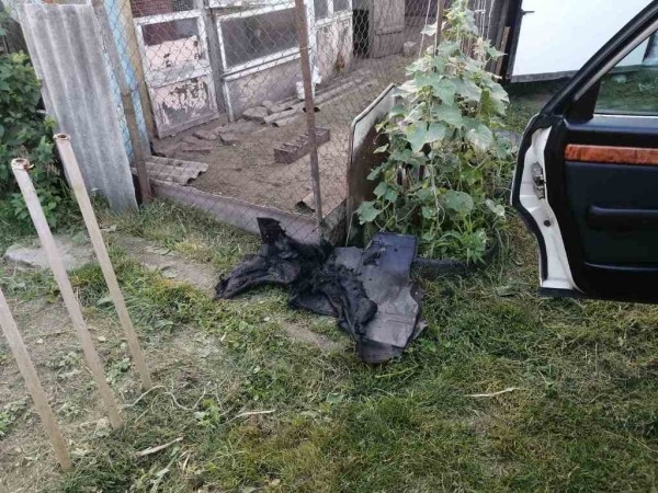 Пытался потушить авто. В Столине мужчина получил ожоги