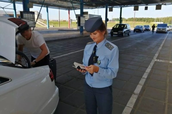 Таможня рассказала, сколько потянет растаможка, на примере газонокосилки Таможня рассказала, сколько потянет растаможка, на примере газонокосилки