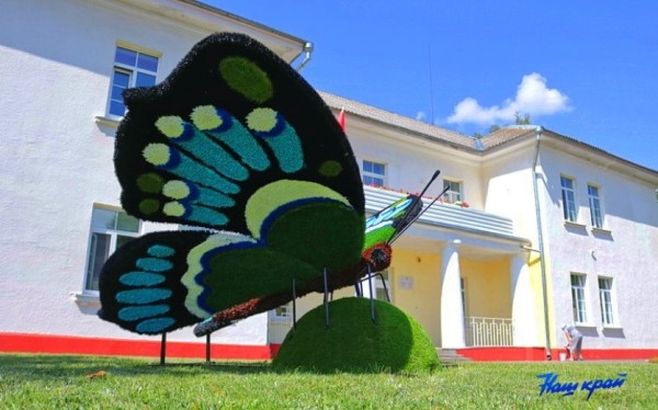 Гигантские бабочки появились в Барановичах Гигантские бабочки появились в Барановичах