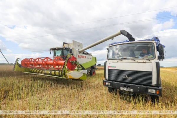 Первого в Брестской области водителя-двухтысячника чествовали в ОАО «Беловежский» Первого в Брестской области водителя-двухтысячника чествовали в ОАО «Беловежский»