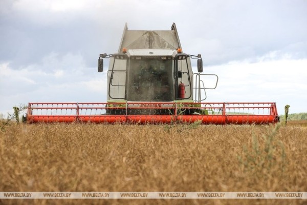 Первого в Брестской области водителя-двухтысячника чествовали в ОАО «Беловежский» Первого в Брестской области водителя-двухтысячника чествовали в ОАО «Беловежский»