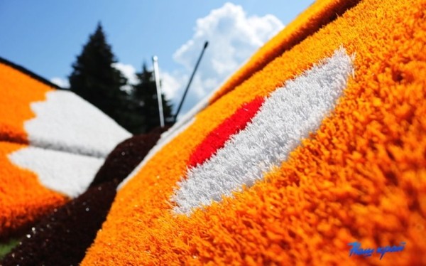 Гигантские бабочки появились в Барановичах Гигантские бабочки появились в Барановичах