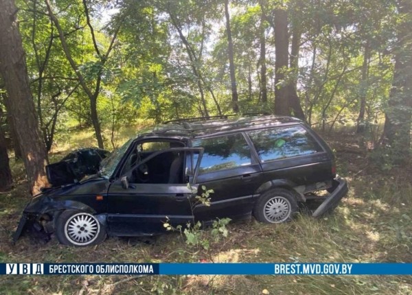 В Столинском районе автомобиль врезался в дерево