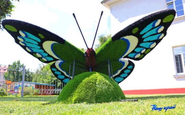Гигантские бабочки появились в Барановичах Гигантские бабочки появились в Барановичах