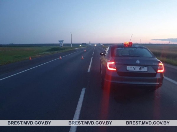 В Пинском районе ночью сбили женщину, которая выбежала на дорогу В Пинском районе ночью сбили женщину, которая выбежала на дорогу