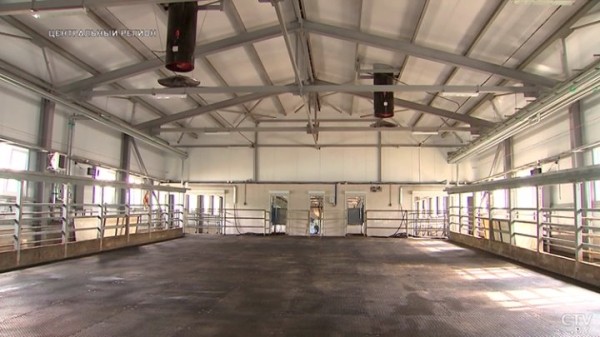 От дойки до прилавка. Вот какой путь проходит молоко, чтобы попасть в магазин