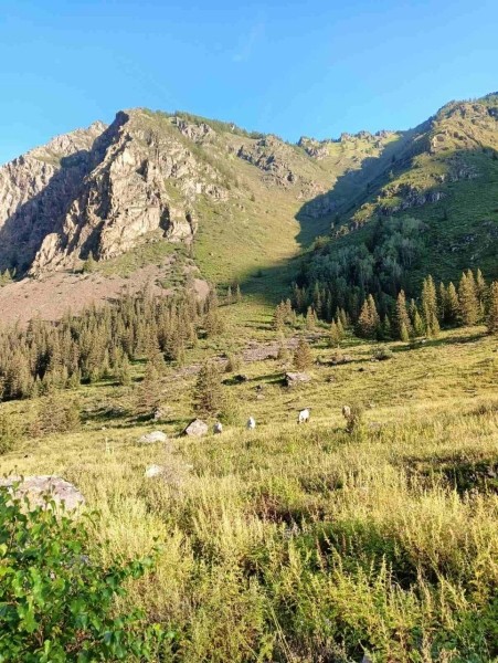 Брестчане покоряют горные реки Алтая Брестчане покоряют горные реки Алтая