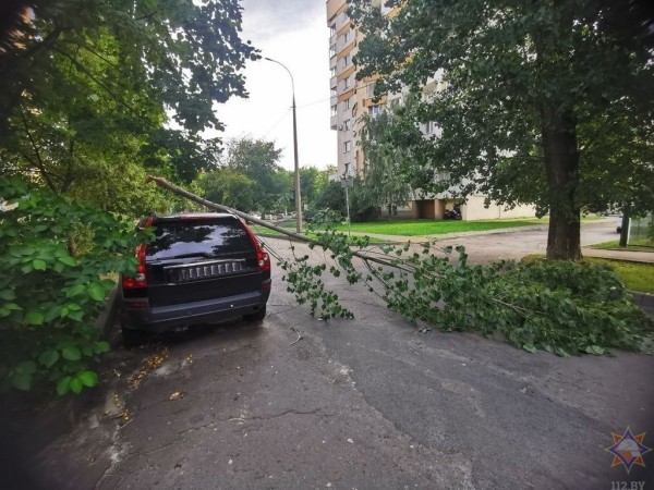 В МЧС рассказали, что натворила непогода в Брестской области В МЧС рассказали, что натворила непогода в Брестской области