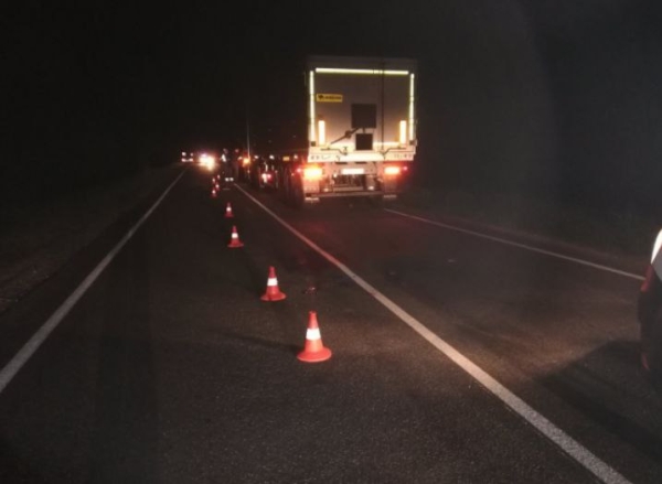 Смертельное ДТП в Новогрудском районе: житель Барановичей ночью наехал на лежащего на дороге человека Смертельное ДТП в Новогрудском районе: житель Барановичей ночью наехал на лежащего на дороге человека