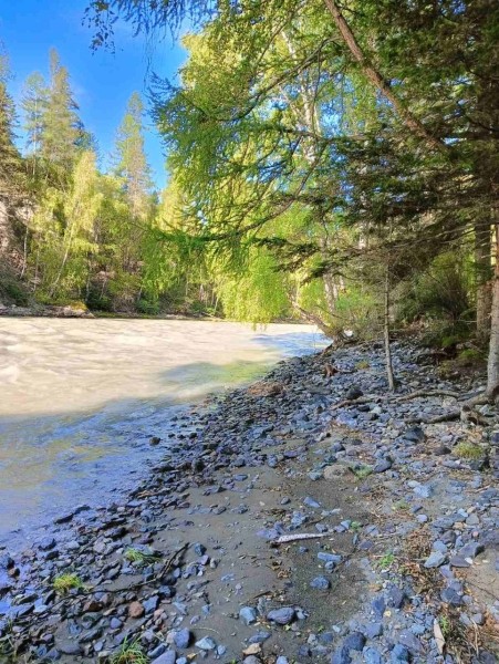 Брестчане покоряют горные реки Алтая Брестчане покоряют горные реки Алтая