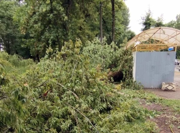 Ураганный ветер, бушевавший в Пинске, наворотил дел