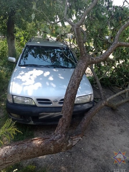 В МЧС рассказали, что натворила непогода в Брестской области В МЧС рассказали, что натворила непогода в Брестской области