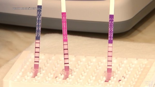 От дойки до прилавка. Вот какой путь проходит молоко, чтобы попасть в магазин