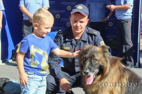 Как в Бресте провели Единый день безопасности Как в Бресте провели Единый день безопасности