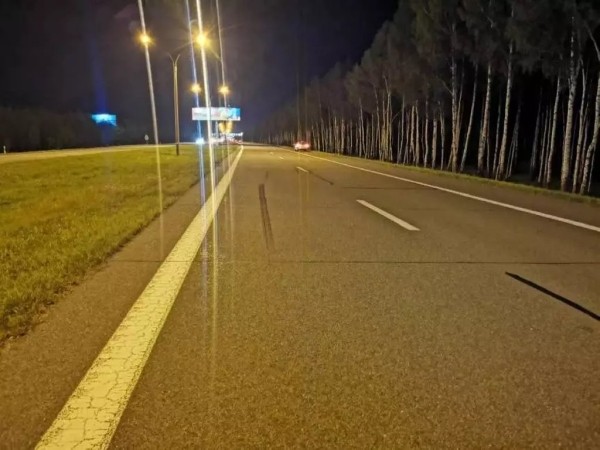 Автомобиль Audi сбил лося