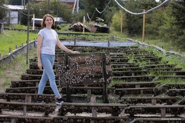 В нескольких километрах от Бреста семья сделала бизнес на выращивании улиток. Выгодным ли оказалось дело? В нескольких километрах от Бреста семья сделала бизнес на выращивании улиток. Выгодным ли оказалось дело?