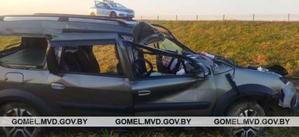 Встреча с лосем закончилась кюветом и реанимацией. А как нужно было поступать? Встреча с лосем закончилась кюветом и реанимацией. А как нужно было поступать?