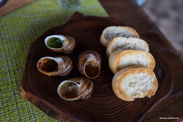 В нескольких километрах от Бреста семья сделала бизнес на выращивании улиток. Выгодным ли оказалось дело? В нескольких километрах от Бреста семья сделала бизнес на выращивании улиток. Выгодным ли оказалось дело?