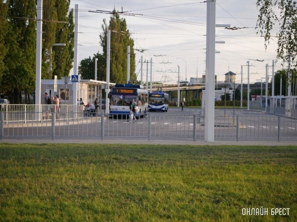 В Бресте 1 октября пенсионеры смогут бесплатно пользоваться общественным транспортом В Бресте 1 октября пенсионеры смогут бесплатно пользоваться общественным транспортом