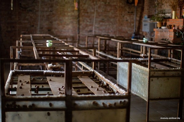 В нескольких километрах от Бреста семья сделала бизнес на выращивании улиток. Выгодным ли оказалось дело? В нескольких километрах от Бреста семья сделала бизнес на выращивании улиток. Выгодным ли оказалось дело?