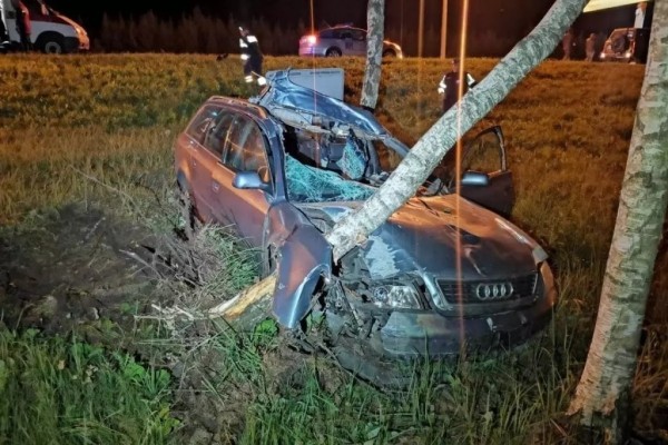 Автомобиль Audi сбил лося