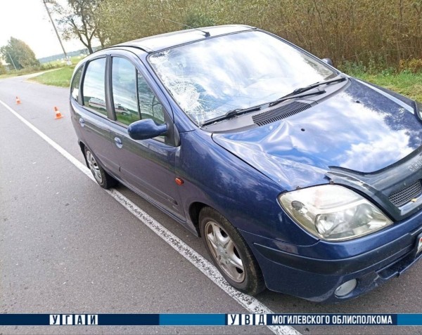 Пешеход шагнул навстречу автомашине и погиб в Могилевском районе Пешеход шагнул навстречу автомашине и погиб в Могилевском районе