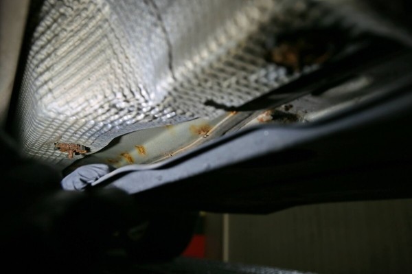 «Год назад был полный облив за $2 500». Белорус о владении 10-летней Skoda Octavia