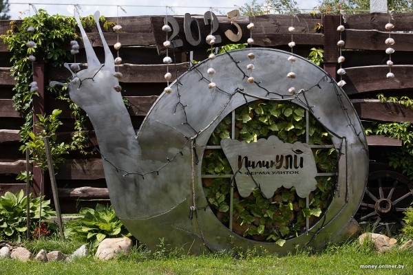 В нескольких километрах от Бреста семья сделала бизнес на выращивании улиток. Выгодным ли оказалось дело? В нескольких километрах от Бреста семья сделала бизнес на выращивании улиток. Выгодным ли оказалось дело?