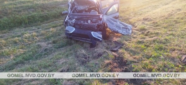 Встреча с лосем закончилась кюветом и реанимацией. А как нужно было поступать? Встреча с лосем закончилась кюветом и реанимацией. А как нужно было поступать?