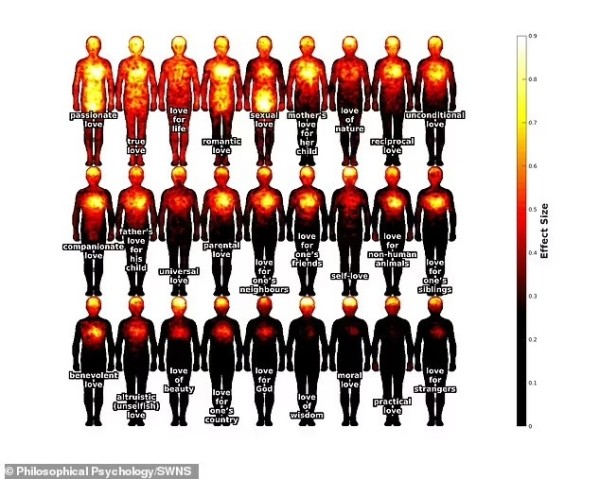 Где живёт любовь? Ученые составили «телесную карту» этого чувства Где живёт любовь? Ученые составили «телесную карту» этого чувства