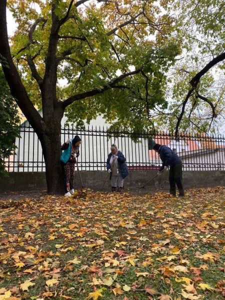 В Бресте в рамках месячника по благоустройству стартовала акция «Марафон чистоты» В Бресте в рамках месячника по благоустройству стартовала акция «Марафон чистоты»